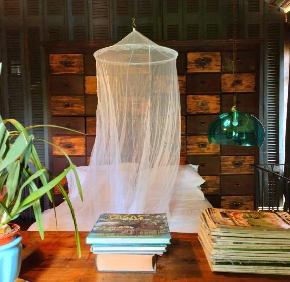 Номер Стандарт, La Verdosa