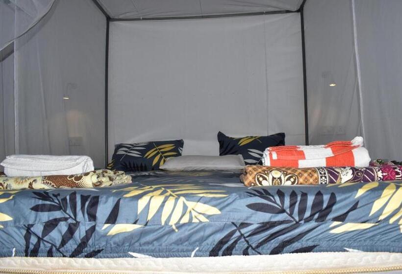 Habitació Estàndard, Hare S Bar And Restaurant