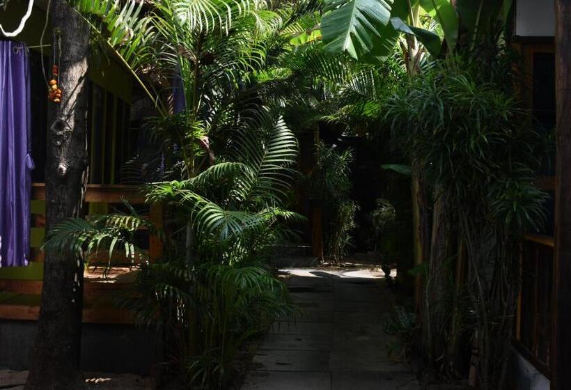 Habitació Estàndard, Hare S Bar And Restaurant