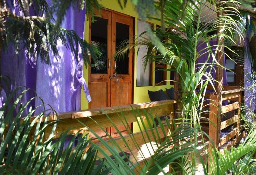 Habitació Estàndard, Hare S Bar And Restaurant