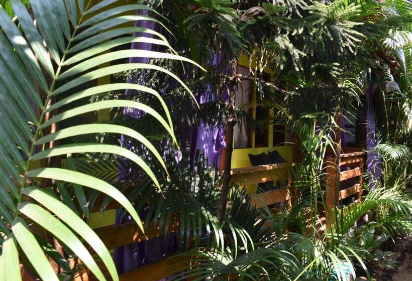 Habitació Estàndard, Hare S Bar And Restaurant