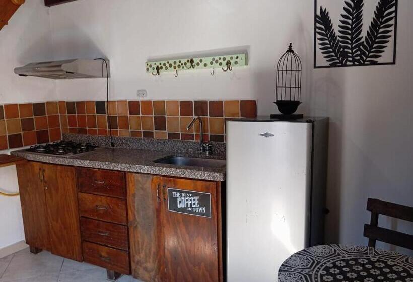 Апартаменты Дюплекс 1 Спальня, Santander Aleman Hostel
