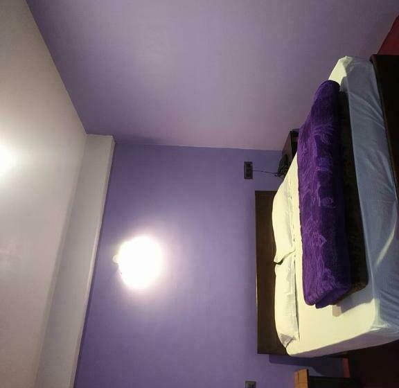 Ekonomiskt Rum, Ava Inn