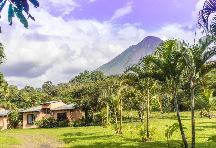 Superior-Zimmer, Confort Arenal