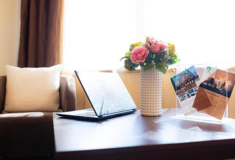 デラックスルーム, Terra&beluga Events