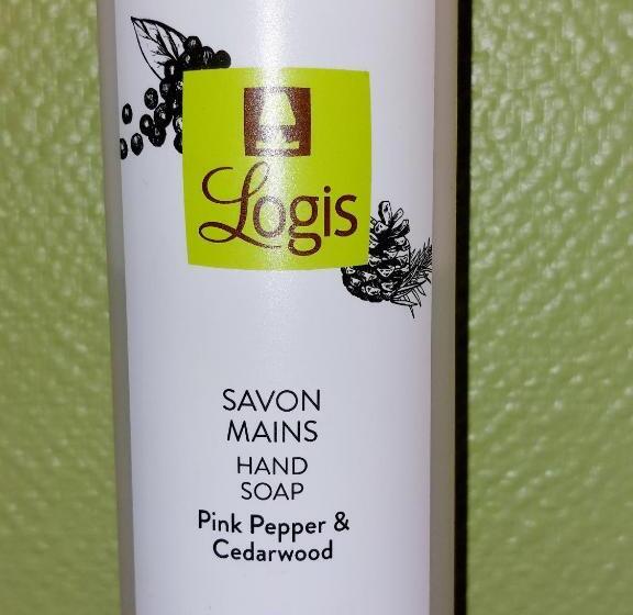 غرفة قياسية, Logis Loire Hotel   Les Cocottes Restaurant