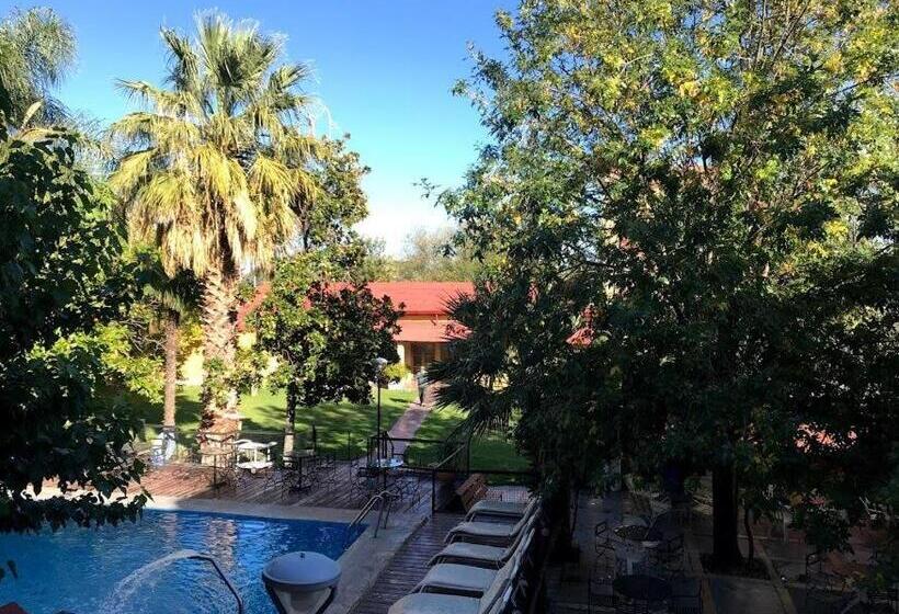 四人标准间, Regine