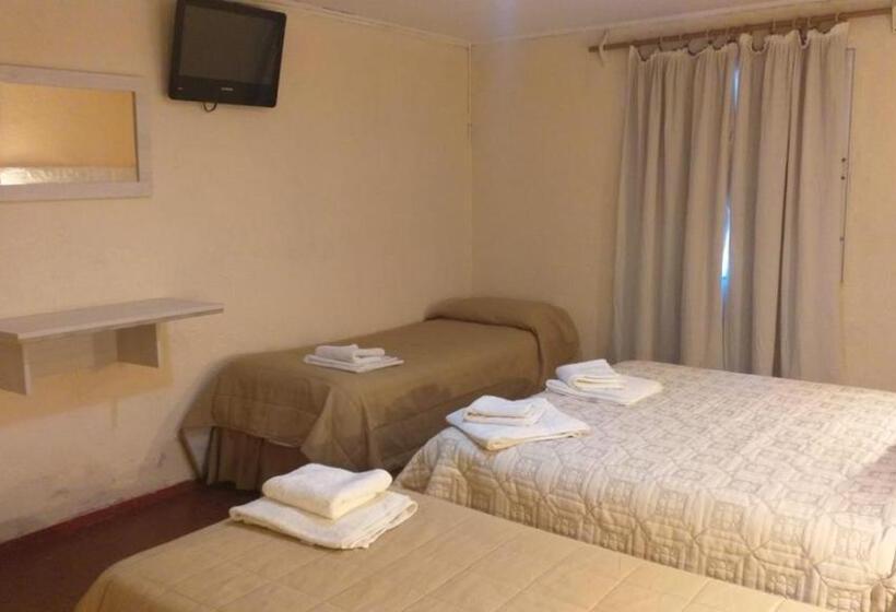 四人标准间, Regine