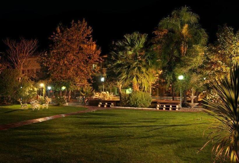 标准三人间, Regine