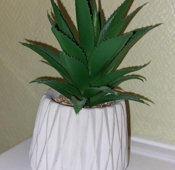 غرفة سوبيريور, Logis Loire Hotel   Les Cocottes Restaurant