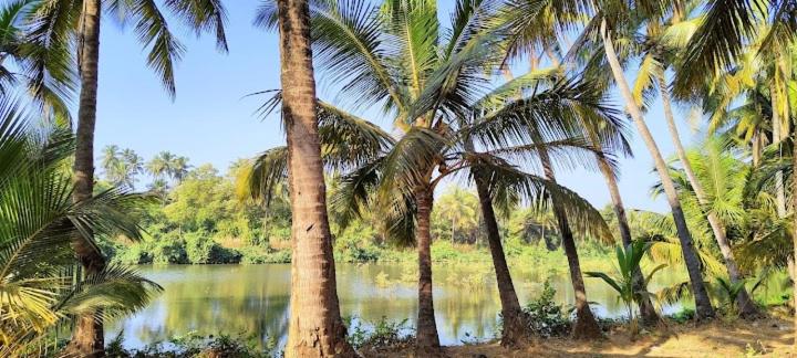 חדר סטנדרט נוף לגינה, Gabriel & Felicidade Villa