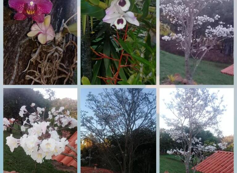 가든 전망 스위트, Pousada Rancho Flores