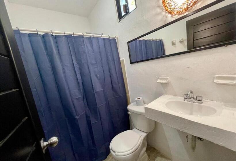 جناح, Akbal Holbox