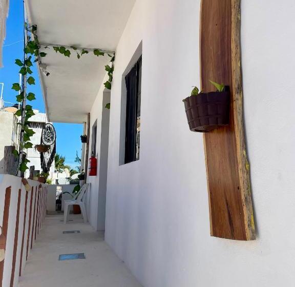 جناح, Akbal Holbox