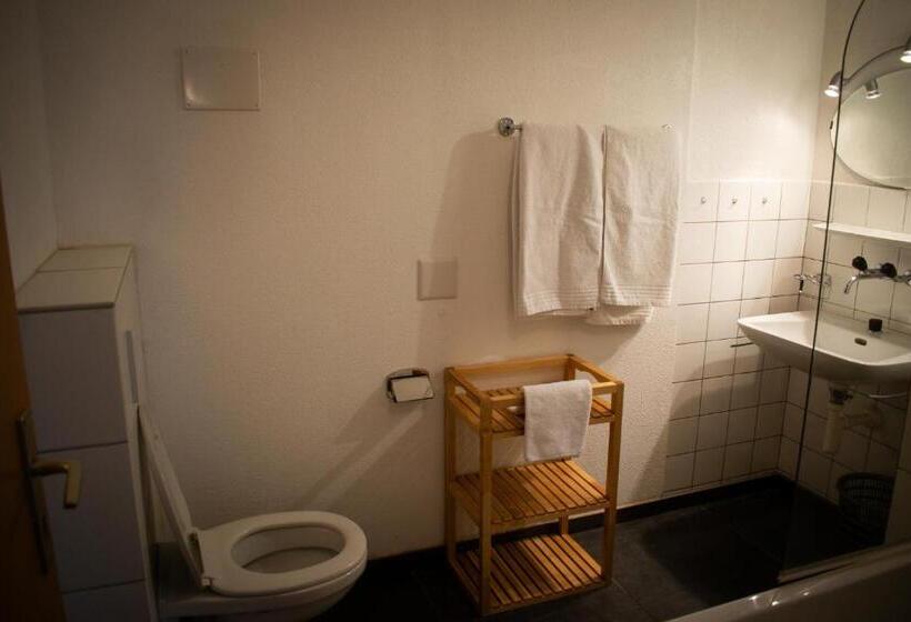 标准间带露台, Malixerhof