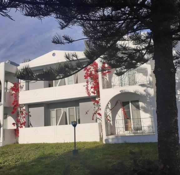 غرفة قياسية ثلاثية, Summer Dream