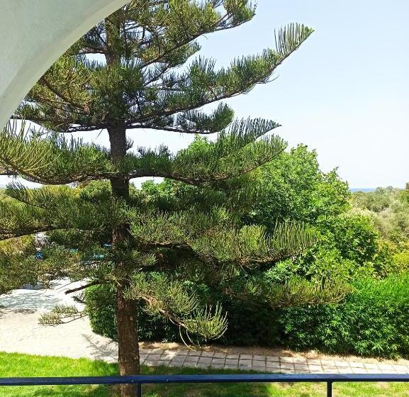 דירת חדר, Summer Dream