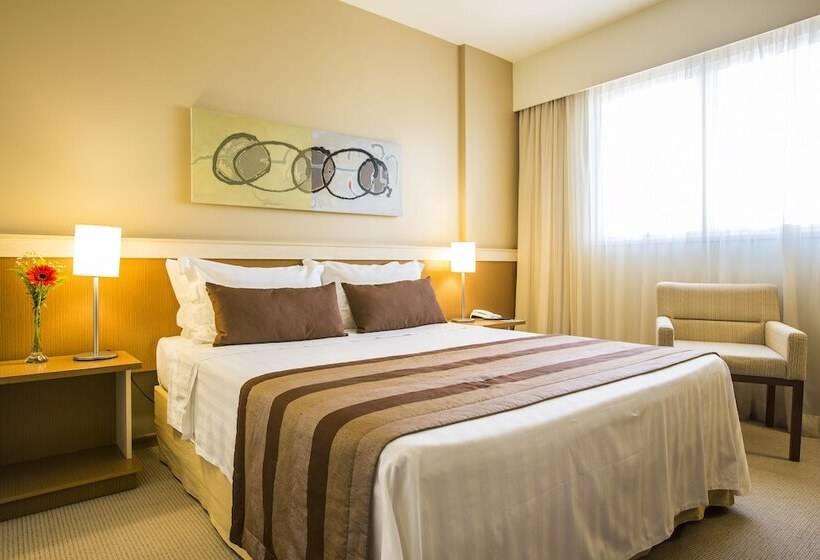 プレミアムルーム, Astron Hotel Bauru By Nobile