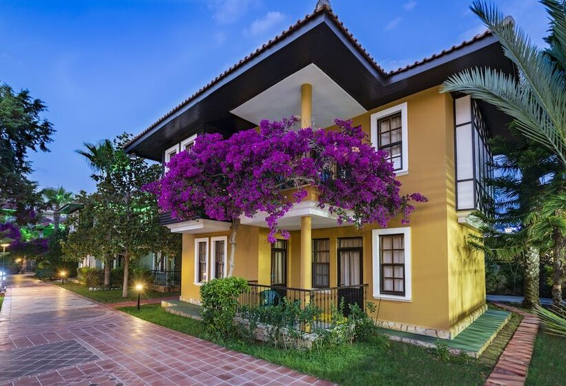 Номер Стандарт, Club Dizalya