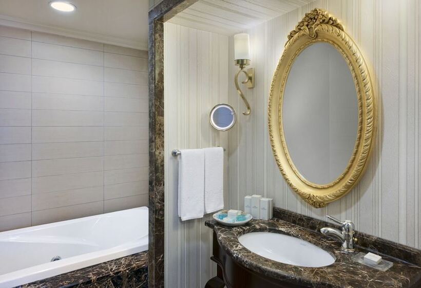 クラシックルーム, Elite World Istanbul Taksim