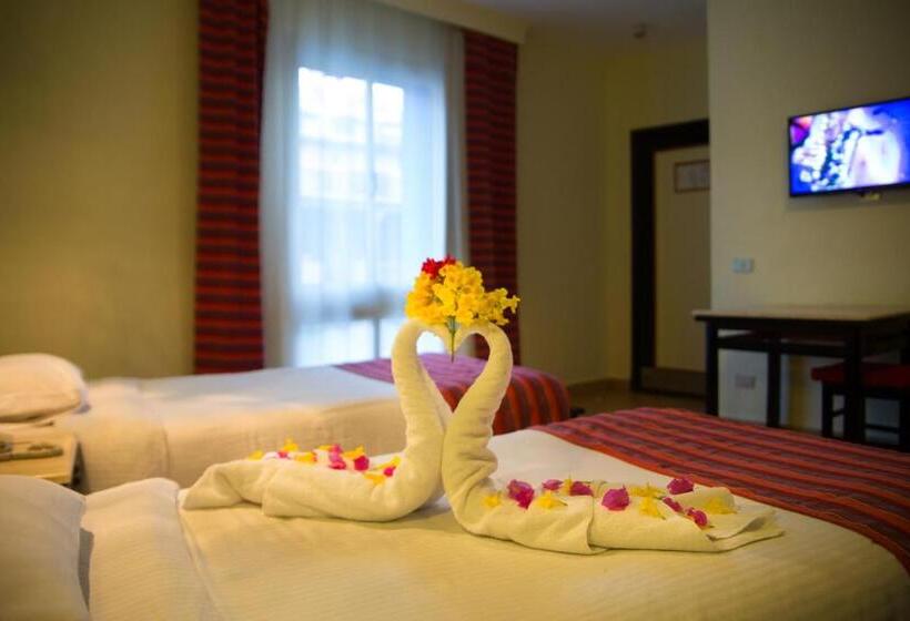 スタンダードルーム, Naama Blue