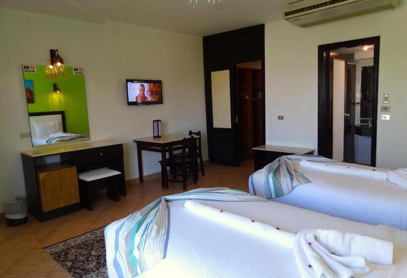 スタンダードルーム, Naama Blue