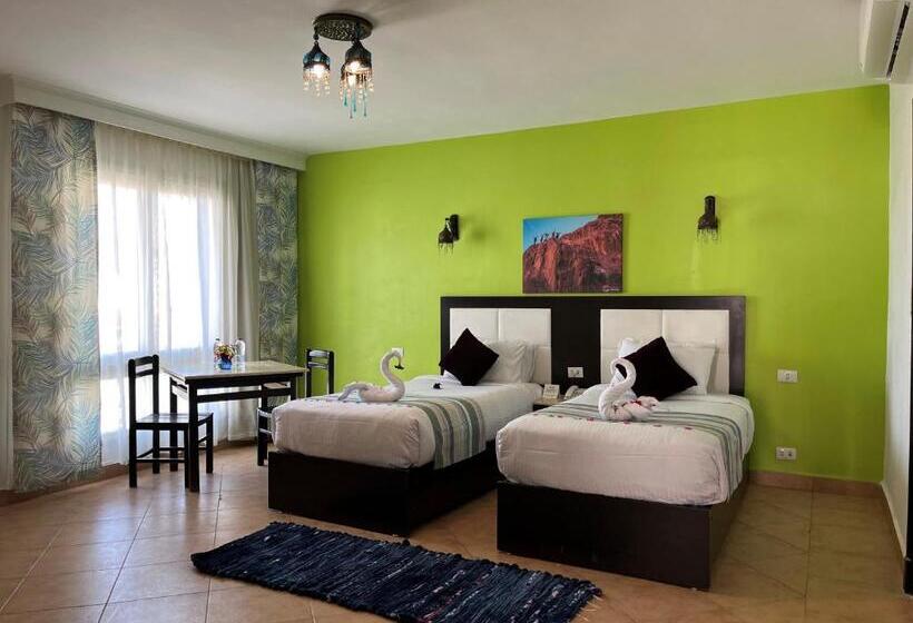 スタンダードルーム, Naama Blue