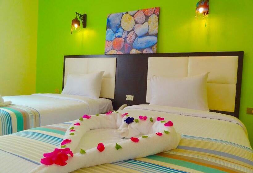 エコノミールーム, Naama Blue