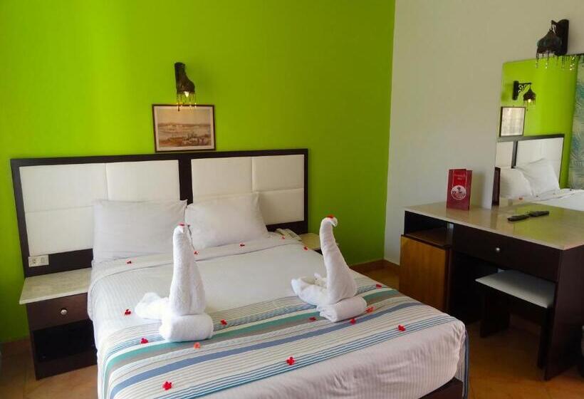 エコノミールーム, Naama Blue