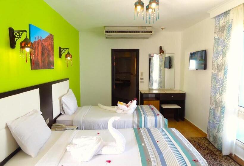 エコノミールーム, Naama Blue