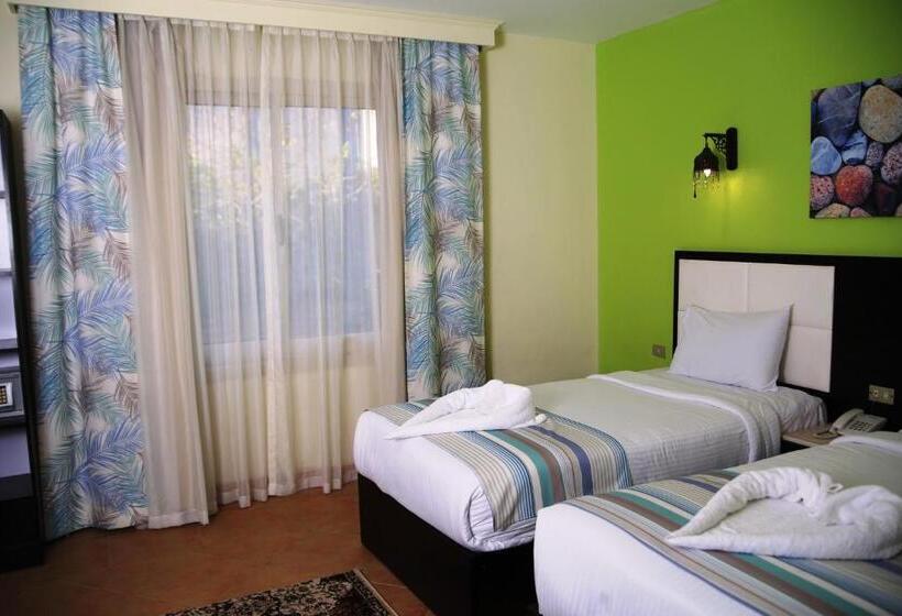 エコノミールーム, Naama Blue