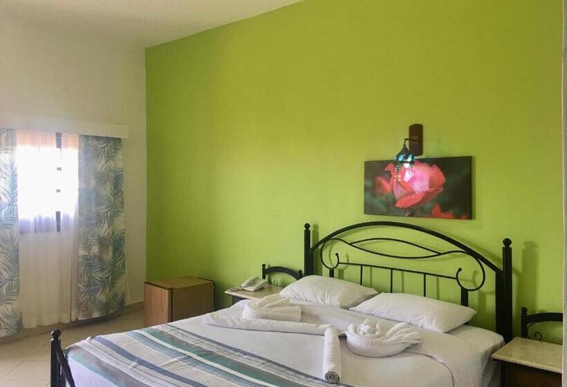 エコノミールーム, Naama Blue