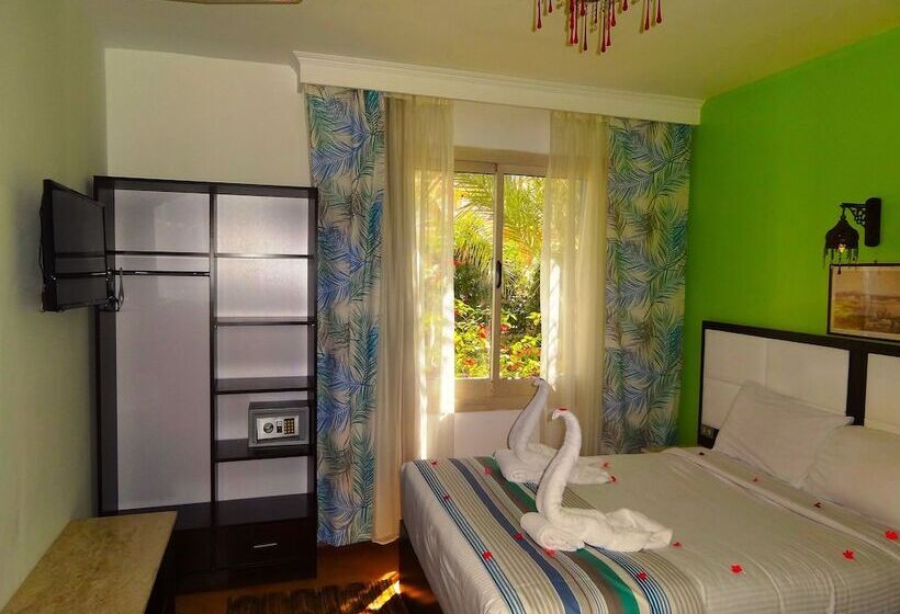 スタンダードシングルルーム, Naama Blue