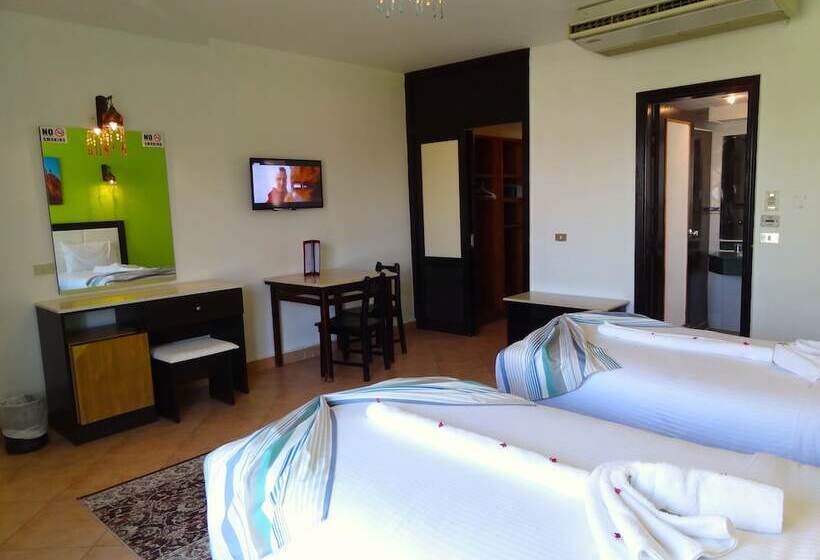 スタンダードルーム, Naama Blue