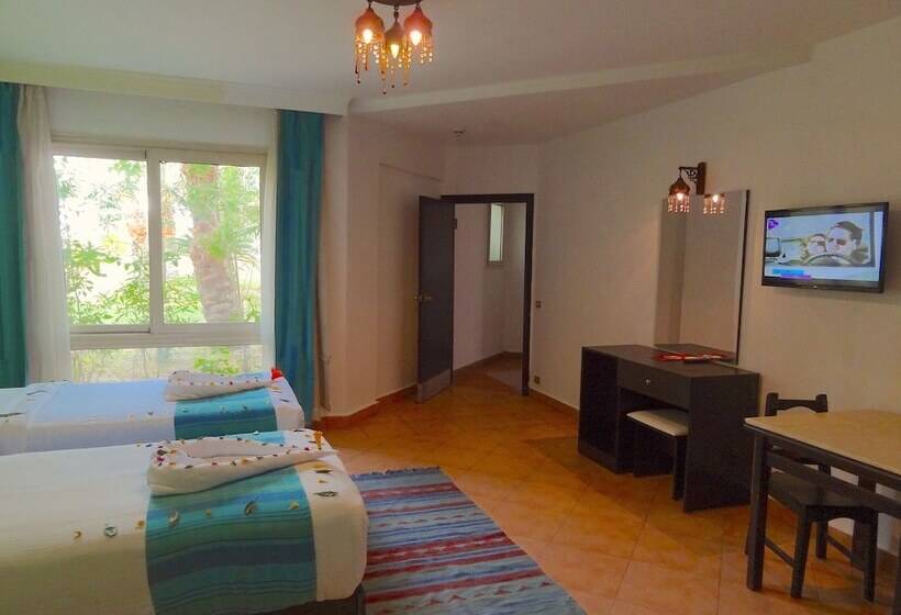 スタンダードルーム, Naama Blue