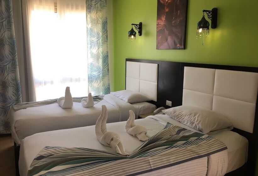 エコノミールーム, Naama Blue