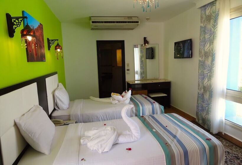 エコノミールーム, Naama Blue