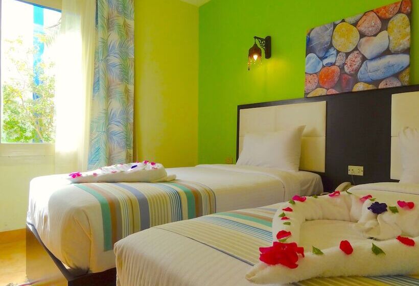 エコノミールーム, Naama Blue