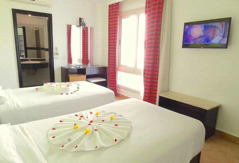 エコノミールーム, Naama Blue