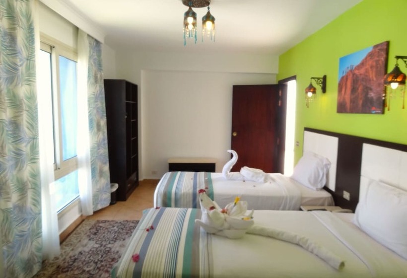 エコノミールーム, Naama Blue