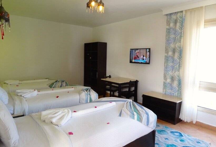 エコノミートリプルルーム, Naama Blue