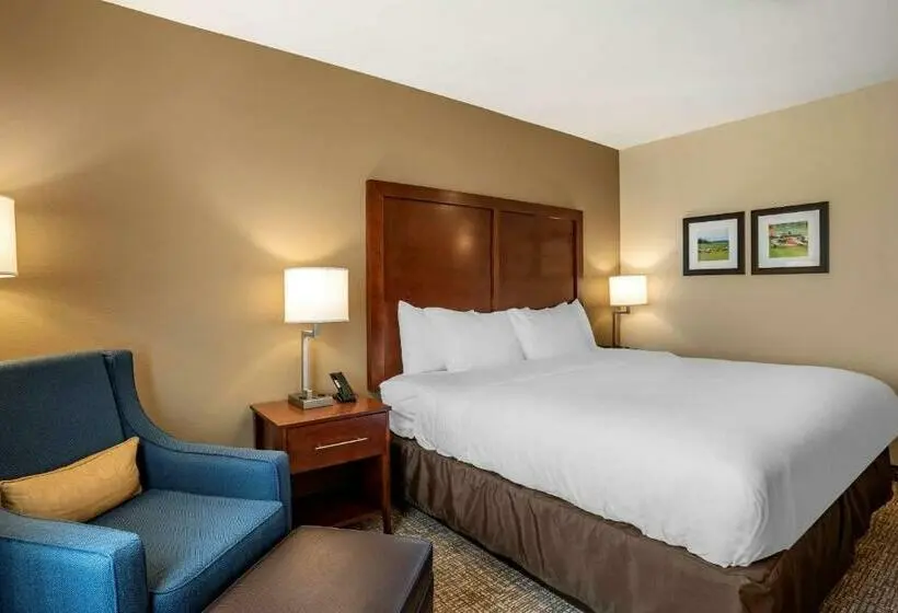 Standard-huone King-vuode, Comfort Inn & Suites