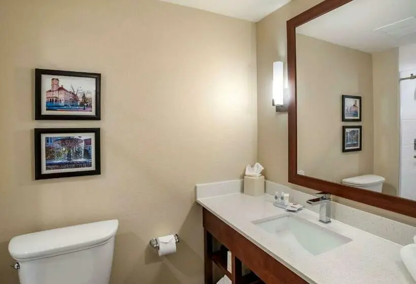 Standard-huone King-vuode, Comfort Inn & Suites
