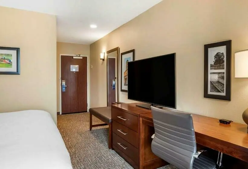 Standard-huone King-vuode, Comfort Inn & Suites