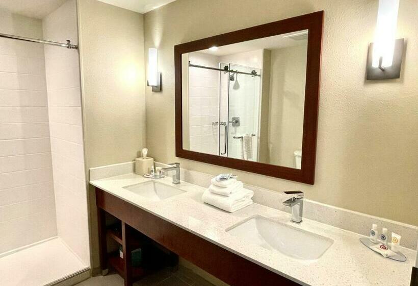 キングサイズベッドのスイートルーム, Comfort Inn & Suites