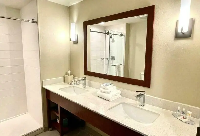 Sviitti King-vuode, Comfort Inn & Suites