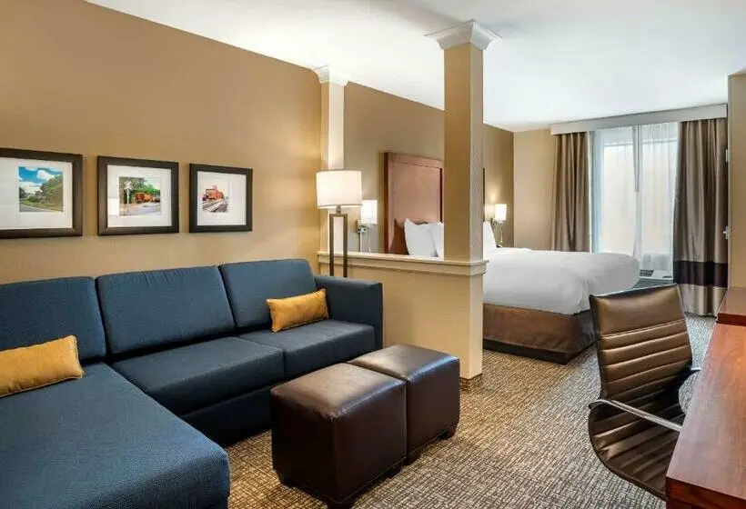Sviitti King-vuode, Comfort Inn & Suites