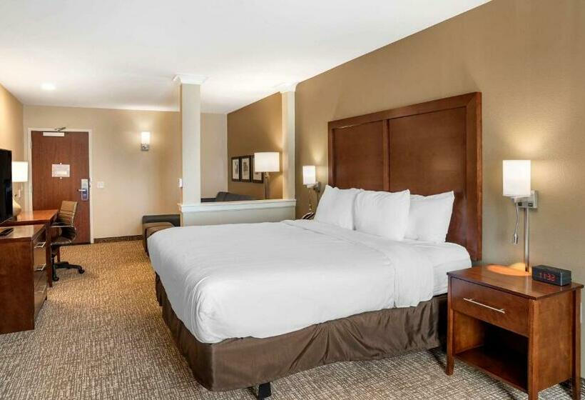 Quarto Estandar Cama King para Deficientes Físicos, Comfort Inn & Suites