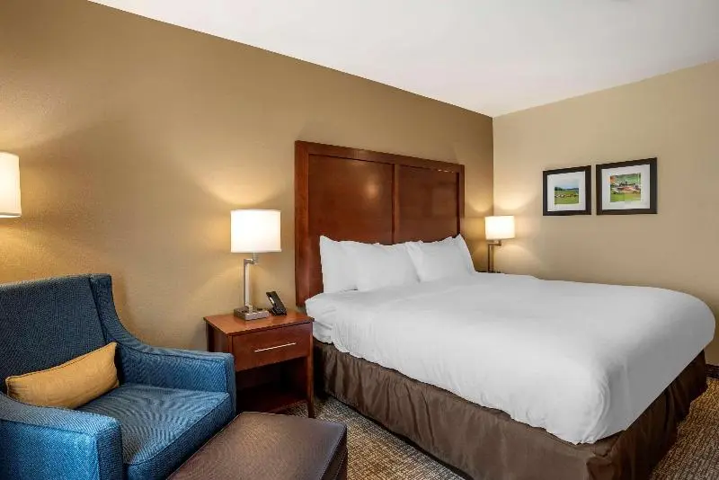 Standard-huone King-vuode, Comfort Inn & Suites