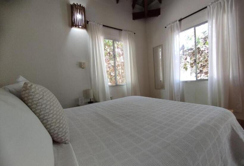 エコノミールーム, Rosario Eco